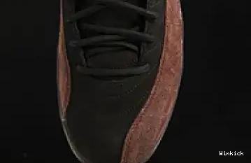 RETRO SP Jordan Air DV6989-001 WMNS AJ12 12 0603